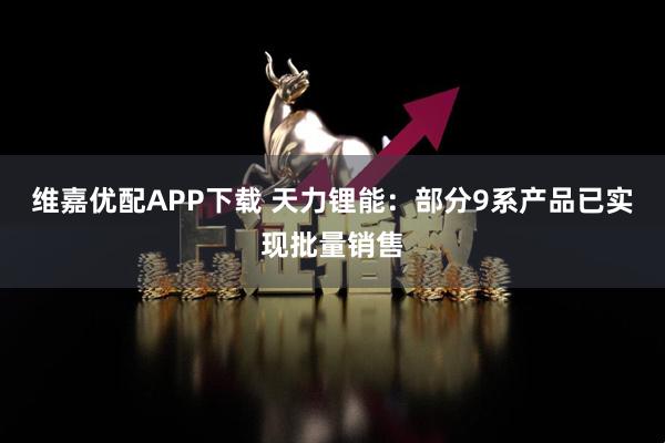 维嘉优配APP下载 天力锂能：部分9系产品已实现批量销售