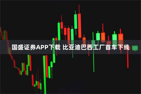 国盛证券APP下载 比亚迪巴西工厂首车下线