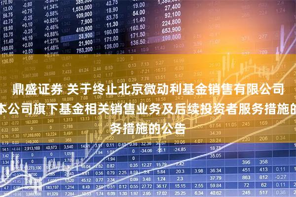 鼎盛证券 关于终止北京微动利基金销售有限公司办理本公司旗下基金相关销售业务及后续投资者服务措施的公告