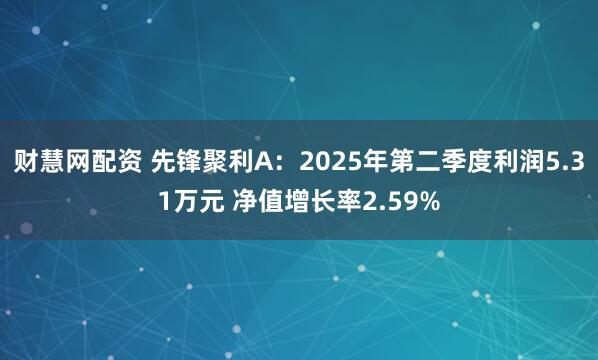 财慧网配资 先锋聚利A：2025年第二季度利润5.31万元 净值增长率2.59%