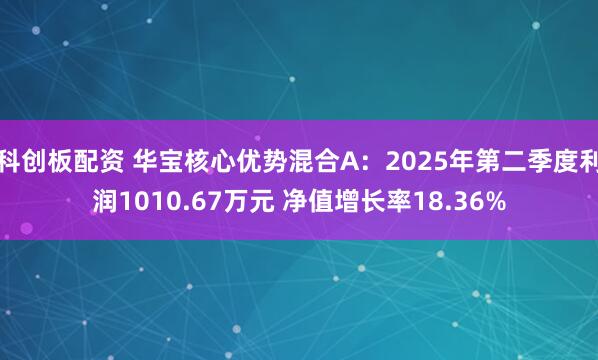 科创板配资 华宝核心优势混合A：2025年第二季度利润1010.67万元 净值增长率18.36%