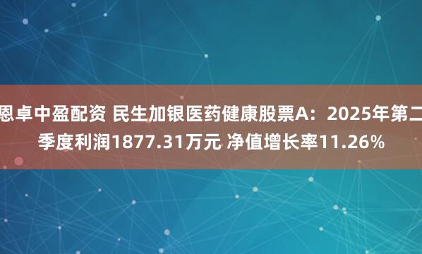 恩卓中盈配资 民生加银医药健康股票A：2025年第二季度利润1877.31万元 净值增长率11.26%