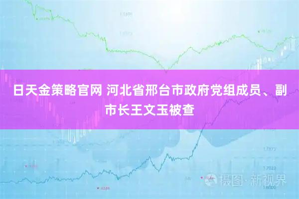 日天金策略官网 河北省邢台市政府党组成员、副市长王文玉被查