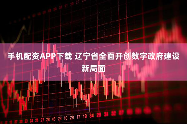 手机配资APP下载 辽宁省全面开创数字政府建设新局面