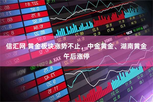 信汇网 黄金板块涨势不止，中金黄金、湖南黄金午后涨停
