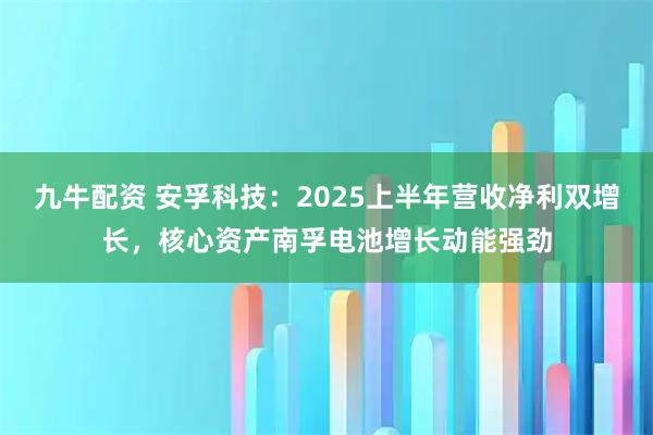 九牛配资 安孚科技：2025上半年营收净利双增长，核心资产南孚电池增长动能强劲